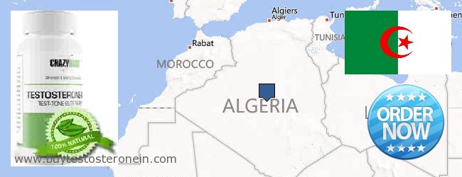 Où Acheter Testosterone en ligne Algeria
